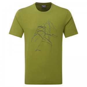 Montane Abstract Mountain T-shirt Herr Gröna | RRR341HT